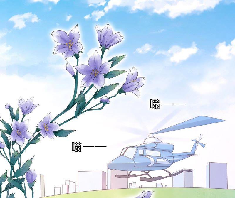 《蜜桃小情人之烈爱知夏》蜜月旅行 第36页