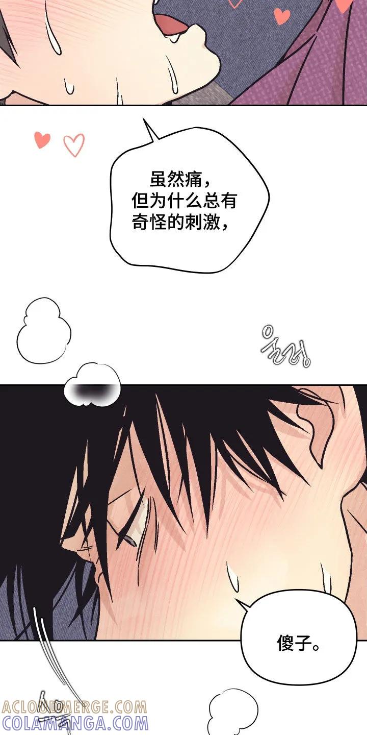 《卧底新生》第39章：电话 第5页