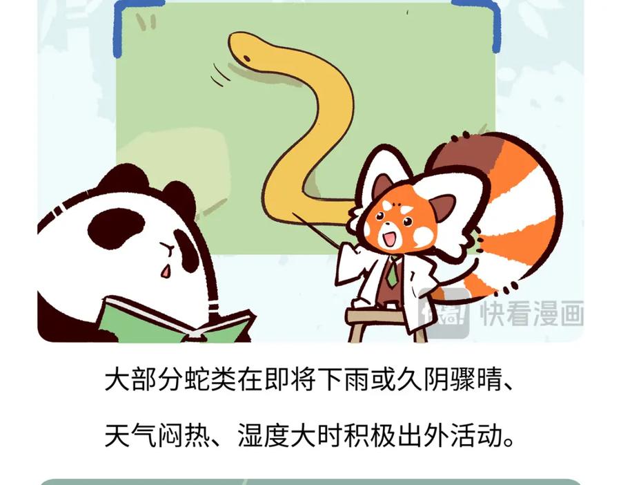 《胖达x胖达》第252话 第20页