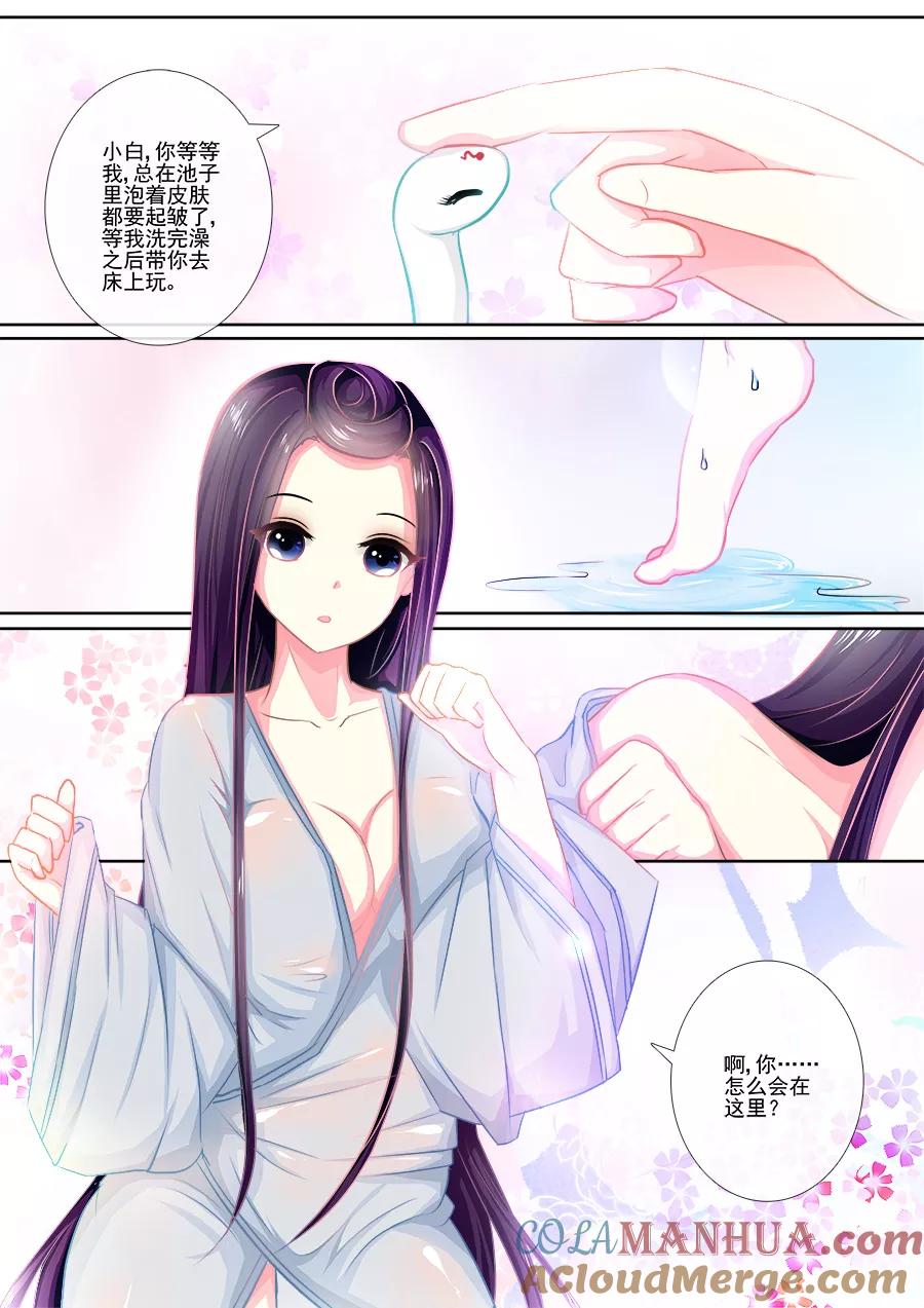 魔妃嫁到 第14话 以小白之名 第4页