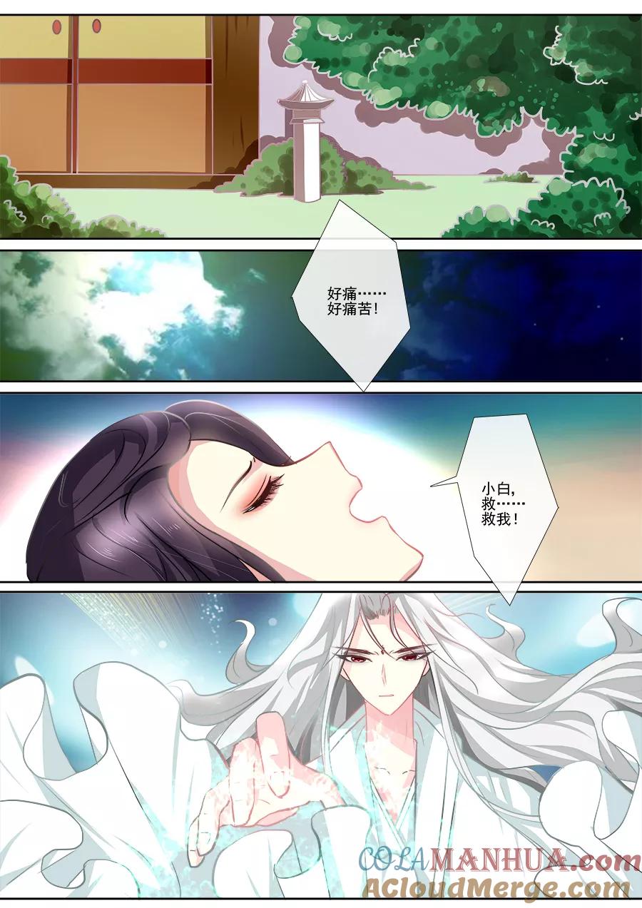 魔妃嫁到 第15话 心软 第4页