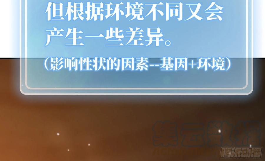 《蘑菇勇者》17- 进化路线 第40页