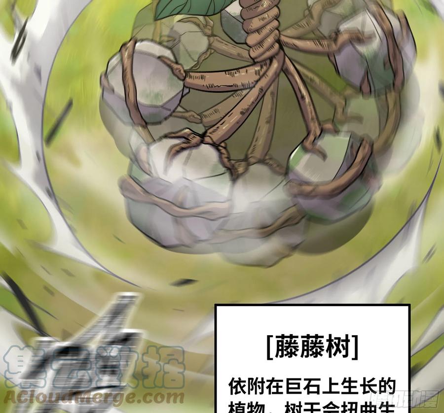 《蘑菇勇者》19- 再遇人类 第141页