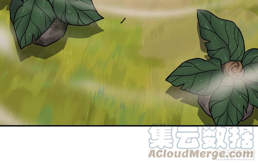 《蘑菇勇者》20- 烈焰鸟 第17页