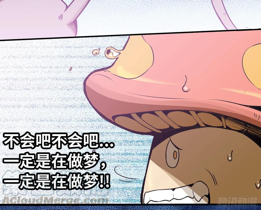《蘑菇勇者》2- 新手任务 第5页
