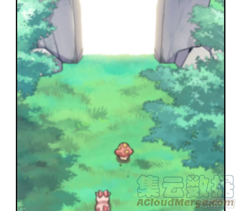 《蘑菇勇者》46- 狂暴猪猪 第137页