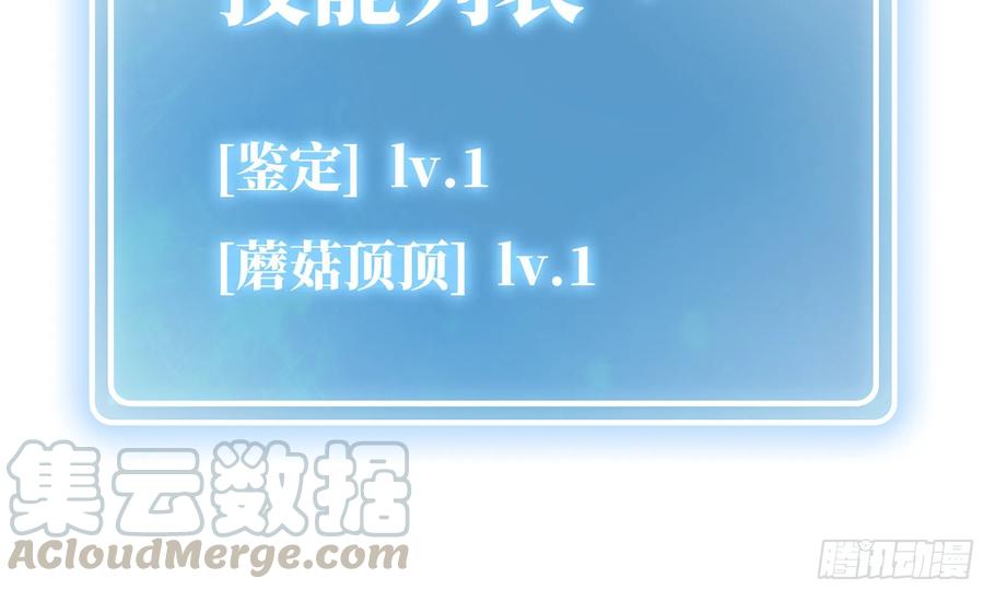 《蘑菇勇者》4-称霸新手村 第40页