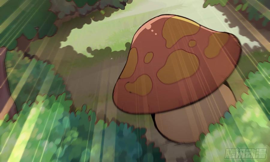 《蘑菇勇者》4-称霸新手村 第19页