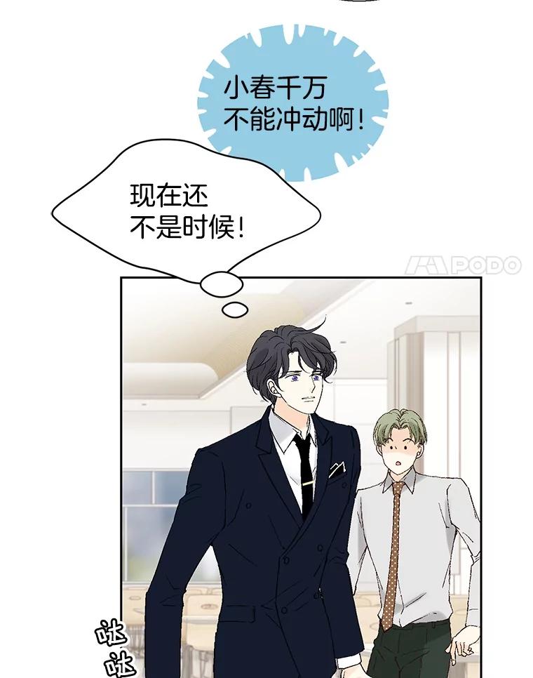 《我喜欢春天般的你》116.曹总和我是恋人关系。 第42页