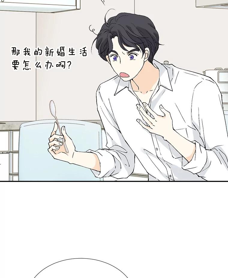 《我喜欢春天般的你》121.我美丽的新娘。 第31页