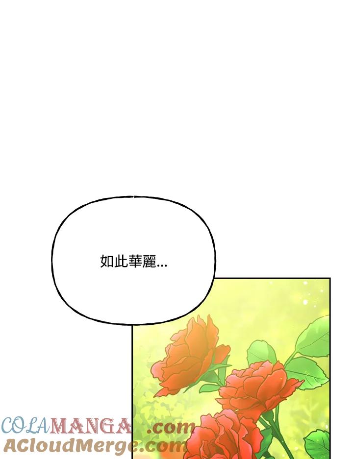 《魔灵召唤：召唤师学院》第15话 第41页