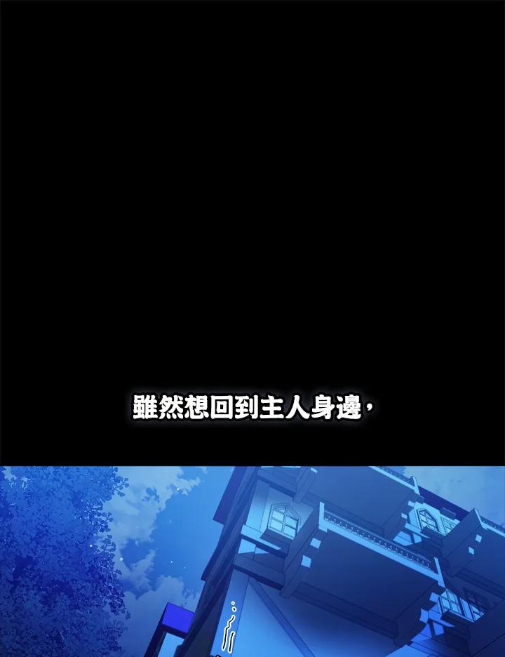 《魔灵召唤：召唤师学院》第15话 第19页