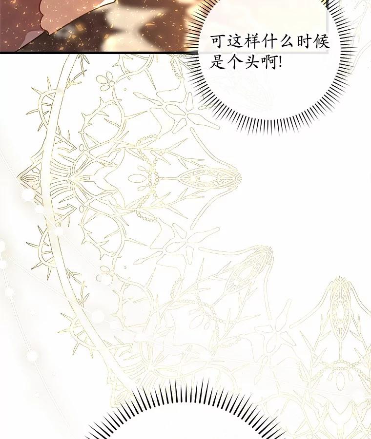 《小圣女想要毁灭世界》36.怪物袭击 第23页