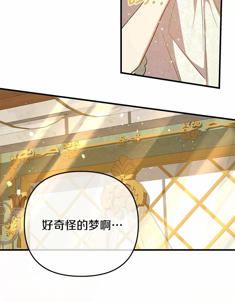 《小圣女想要毁灭世界》49.奇怪的梦 第68页