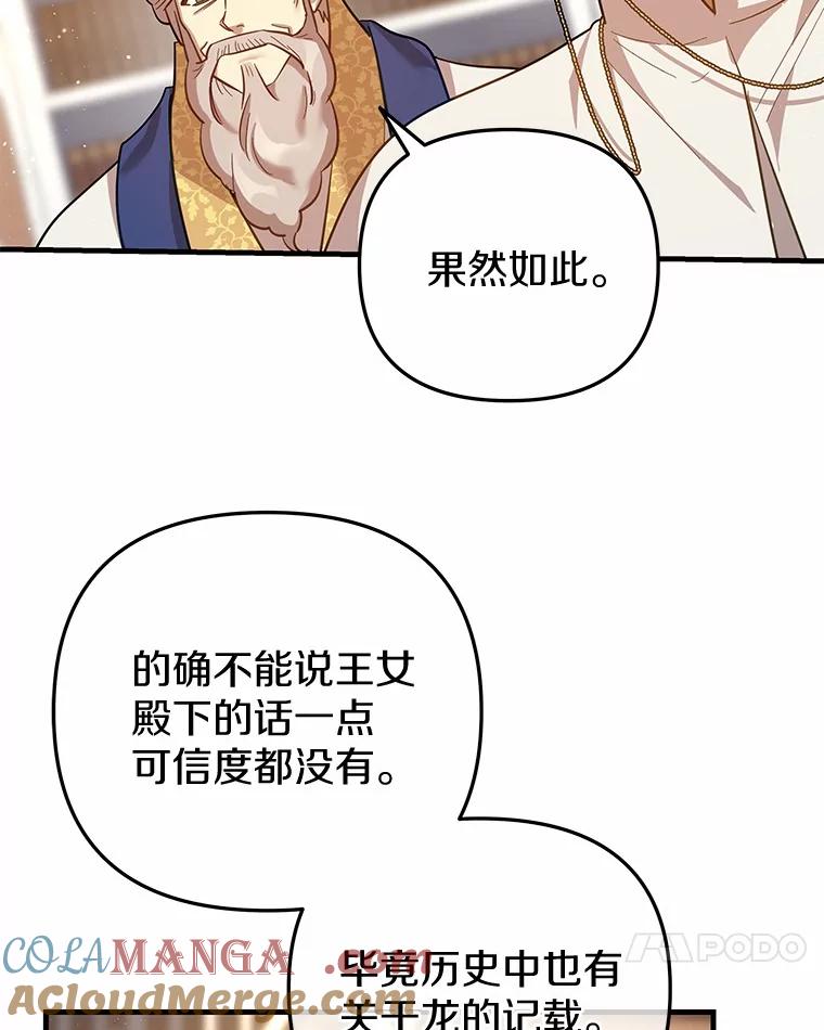 《小圣女想要毁灭世界》51.龙是真实存在的 第89页