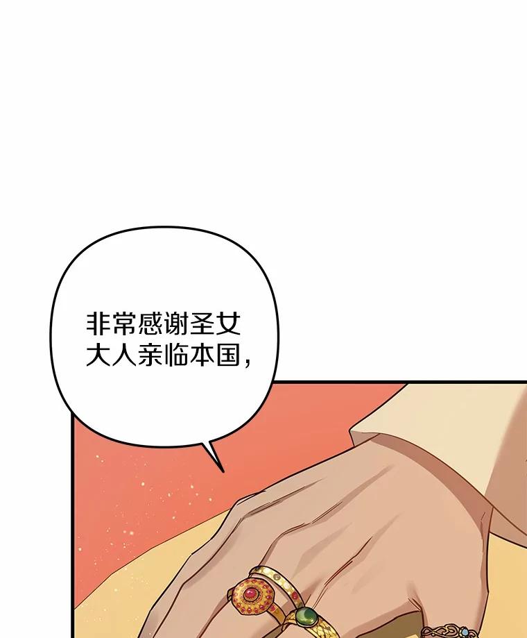 《小圣女想要毁灭世界》52.果然是你 第36页