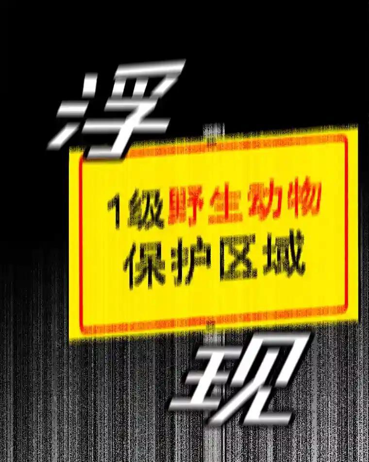 《记忆猎人》39.保护区域 第36页