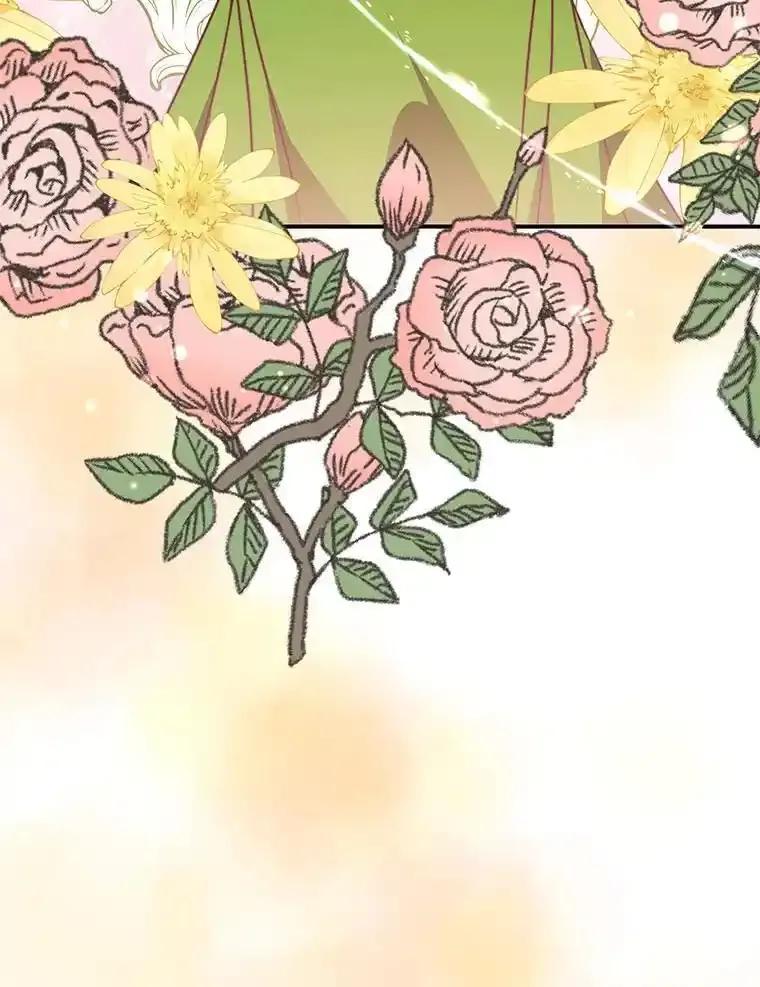 公爵夫人的秘密执笔 66.价值连城的礼物 第91页