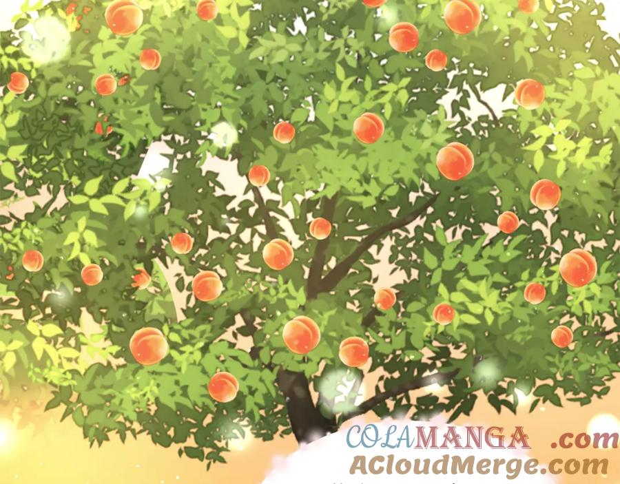 《魔女今生要随心所欲》第35话 碎片 第33页