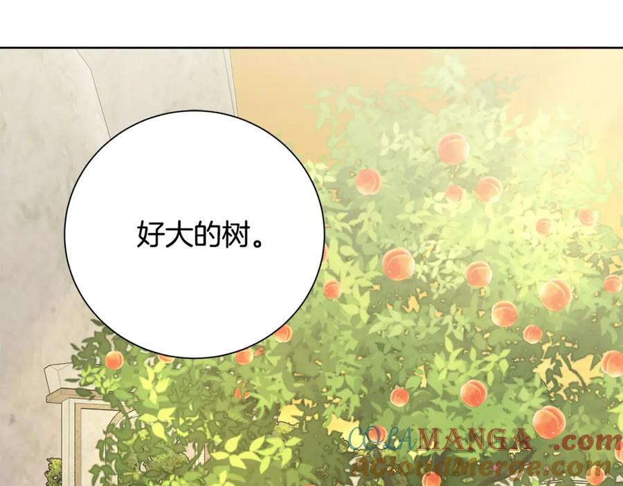 《魔女今生要随心所欲》第35话 碎片 第21页