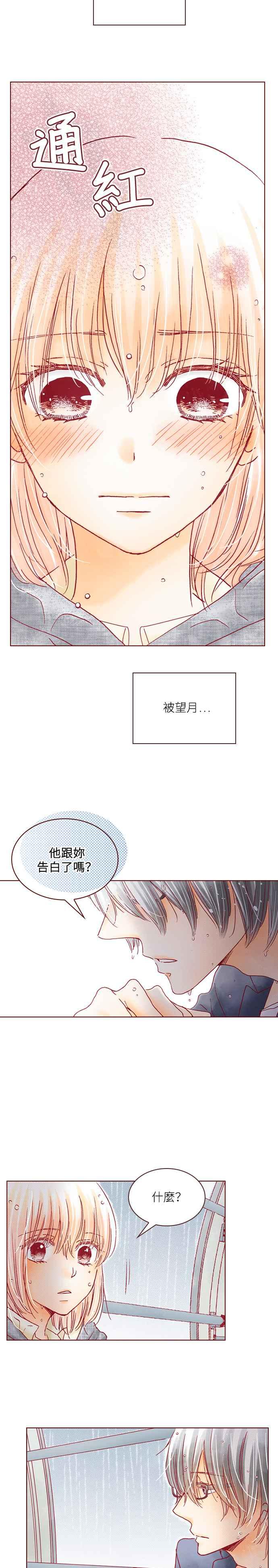 《迟来的初恋》第31话 第14页