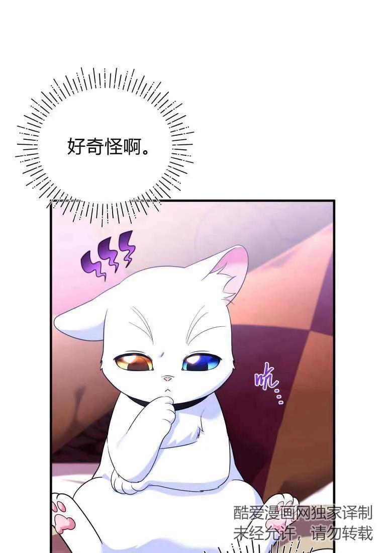 成为苏尔坦珍爱的猫咪 第23话 第91页