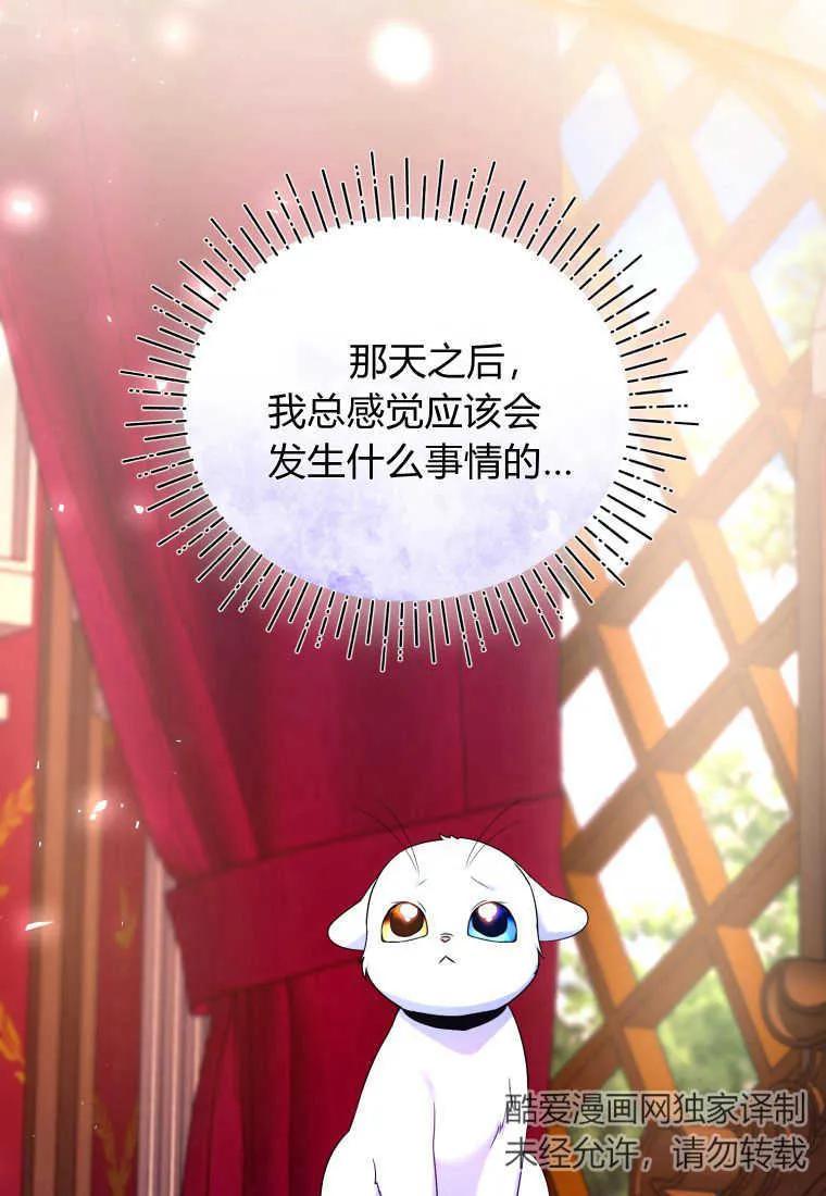 成为苏尔坦珍爱的猫咪 第23话 第59页