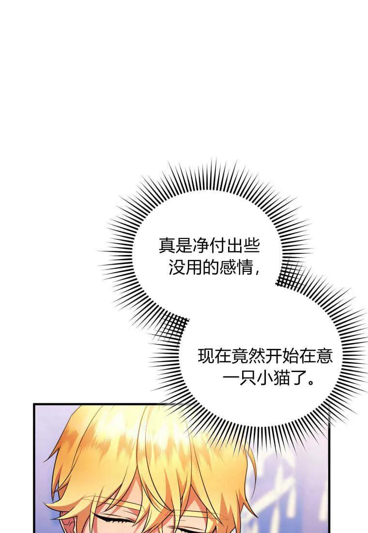 成为苏尔坦珍爱的猫咪 第23话 第46页