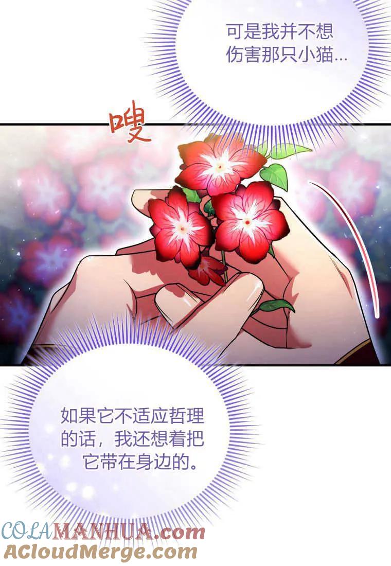 成为苏尔坦珍爱的猫咪 第23话 第45页