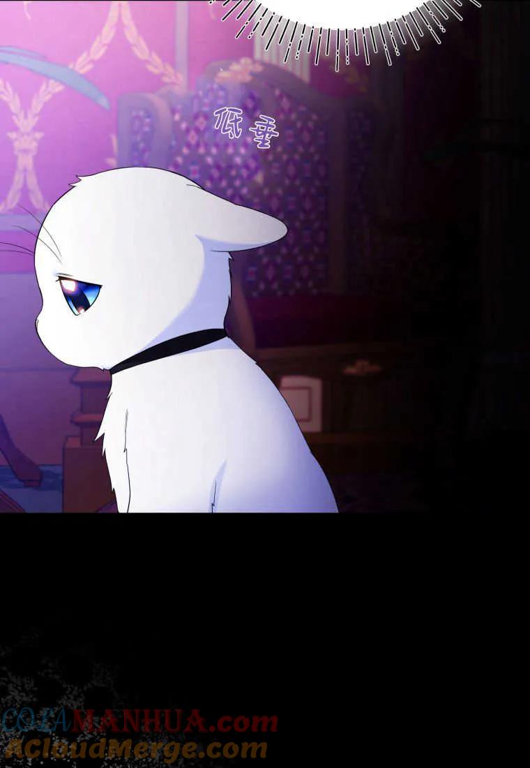 成为苏尔坦珍爱的猫咪 第23话 第61页