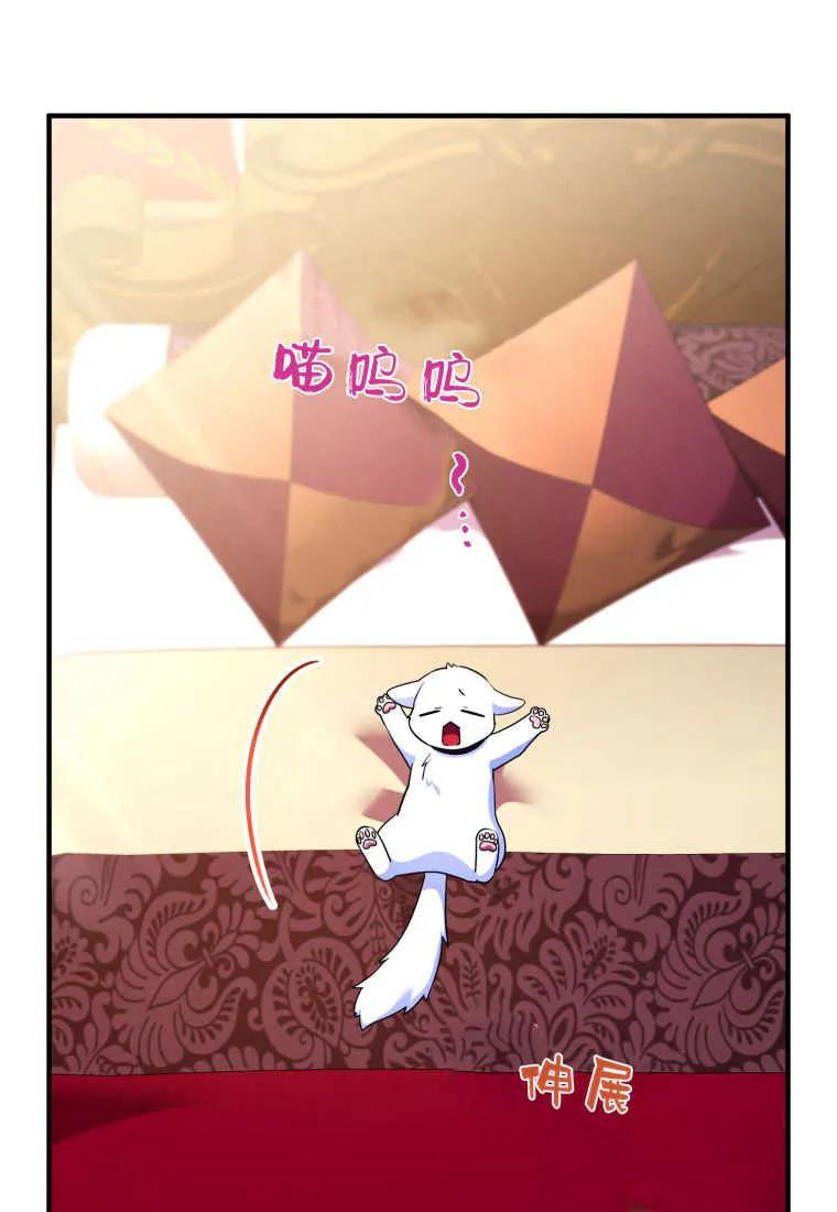 成为苏尔坦珍爱的猫咪 第23话 第94页