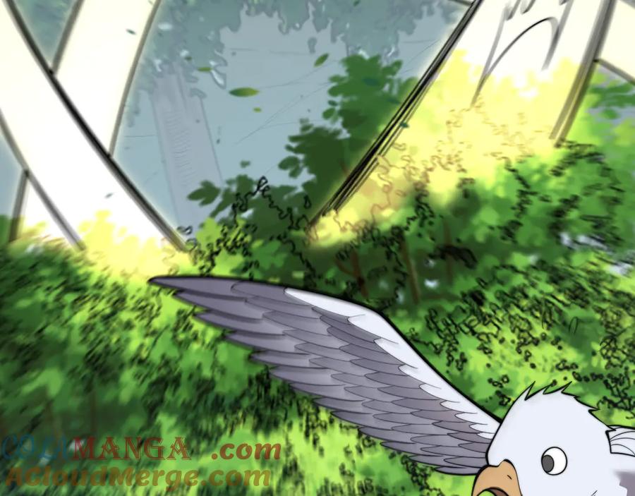 网游：因为太浪，我成了全服公敌！ 第104话 前倨后恭 第69页