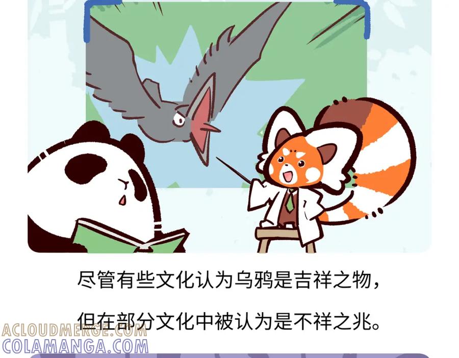 《胖达x胖达》第248话 第27页
