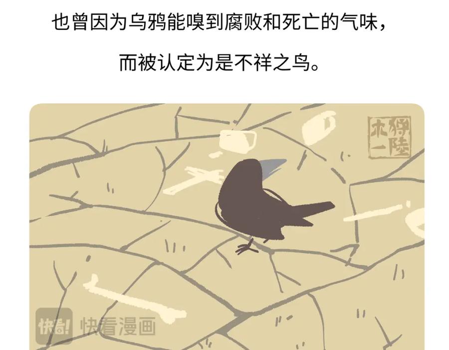 《胖达x胖达》第248话 第30页