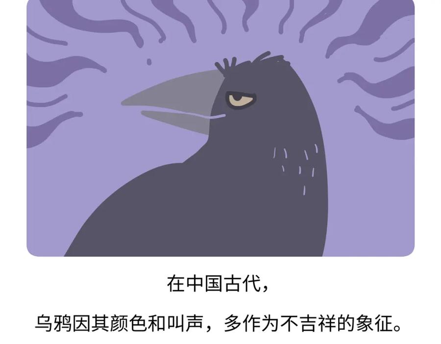 《胖达x胖达》第248话 第28页