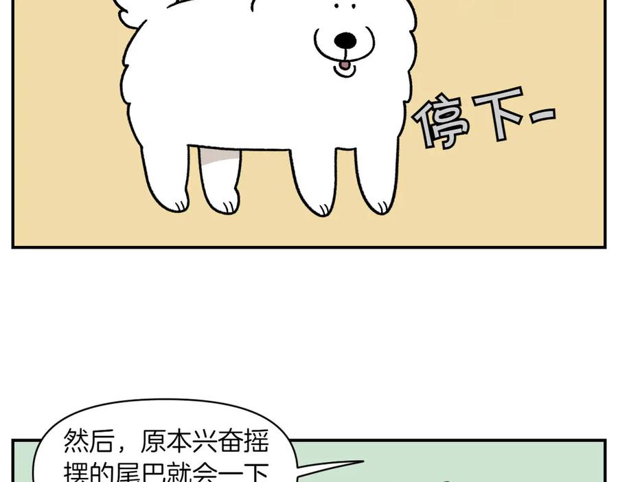 《我的狗子叫棉花》第60话 禁止单词-散步 第47页