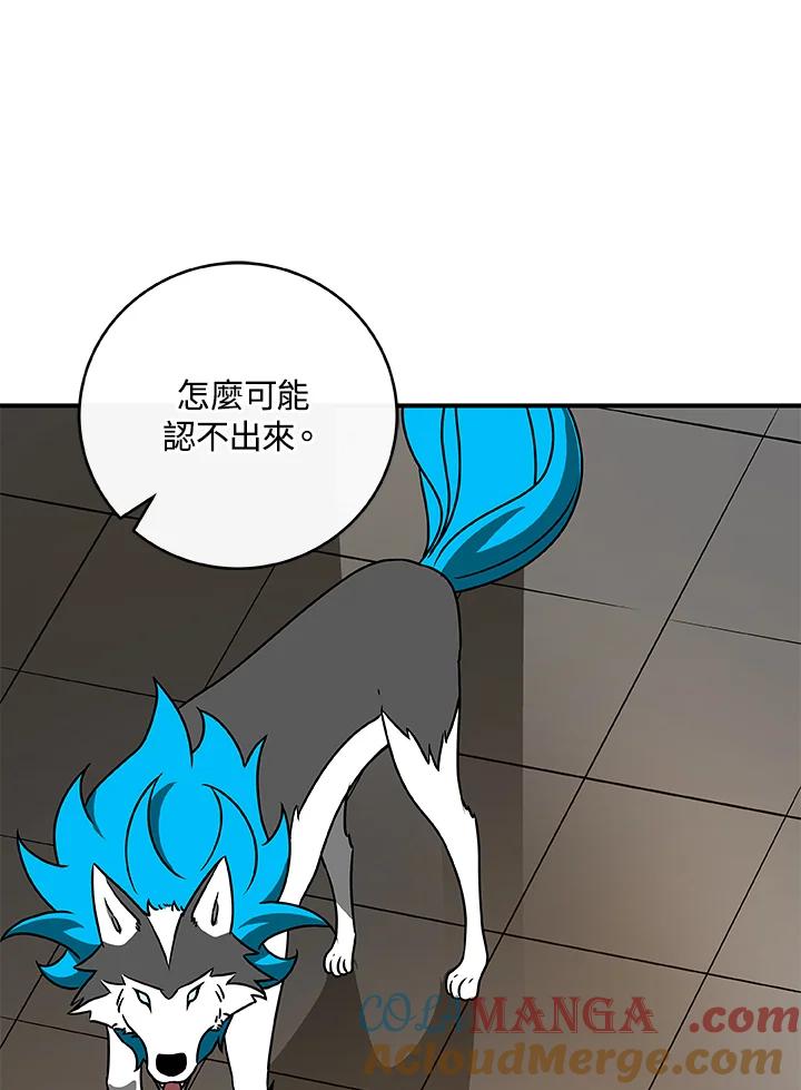 《大魔导士直播中》第77话 第61页