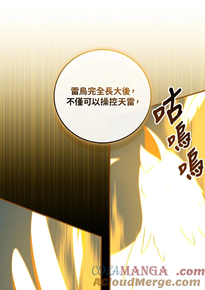 《大魔导士直播中》第78话 第25页