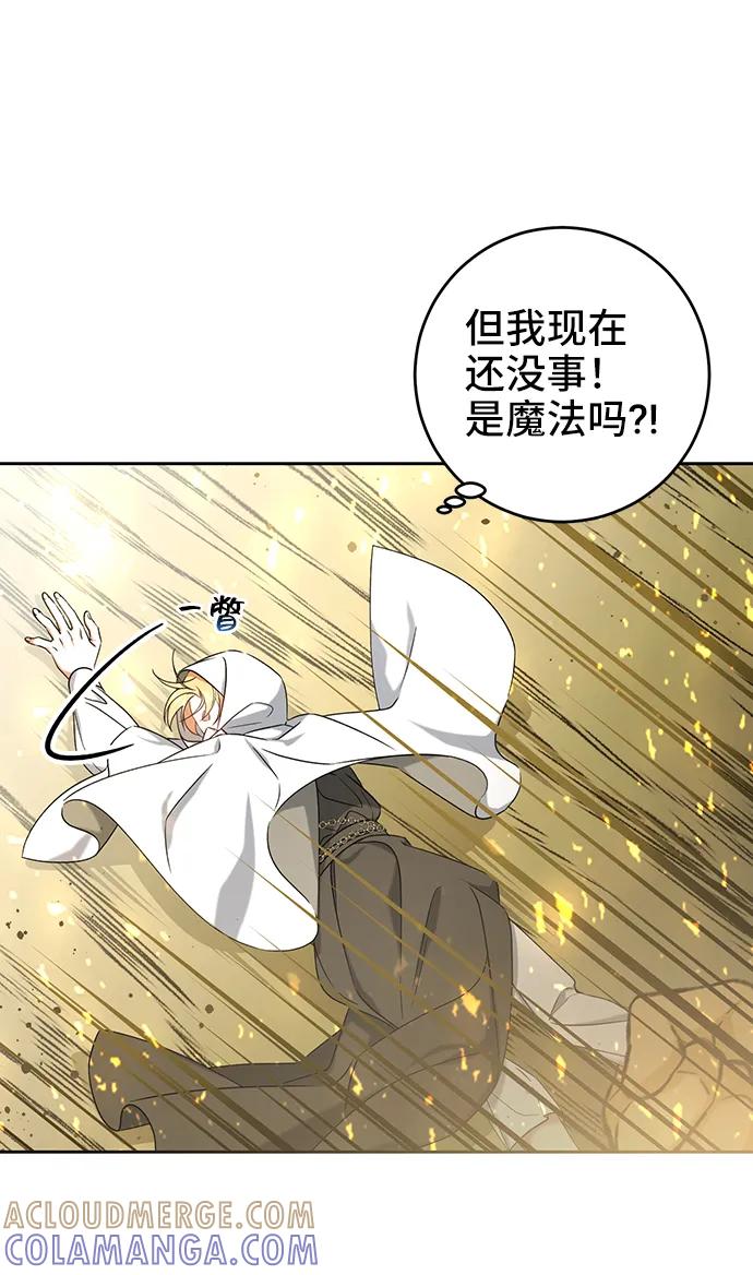 《给予维塞尔的玫瑰》第37话 第25页