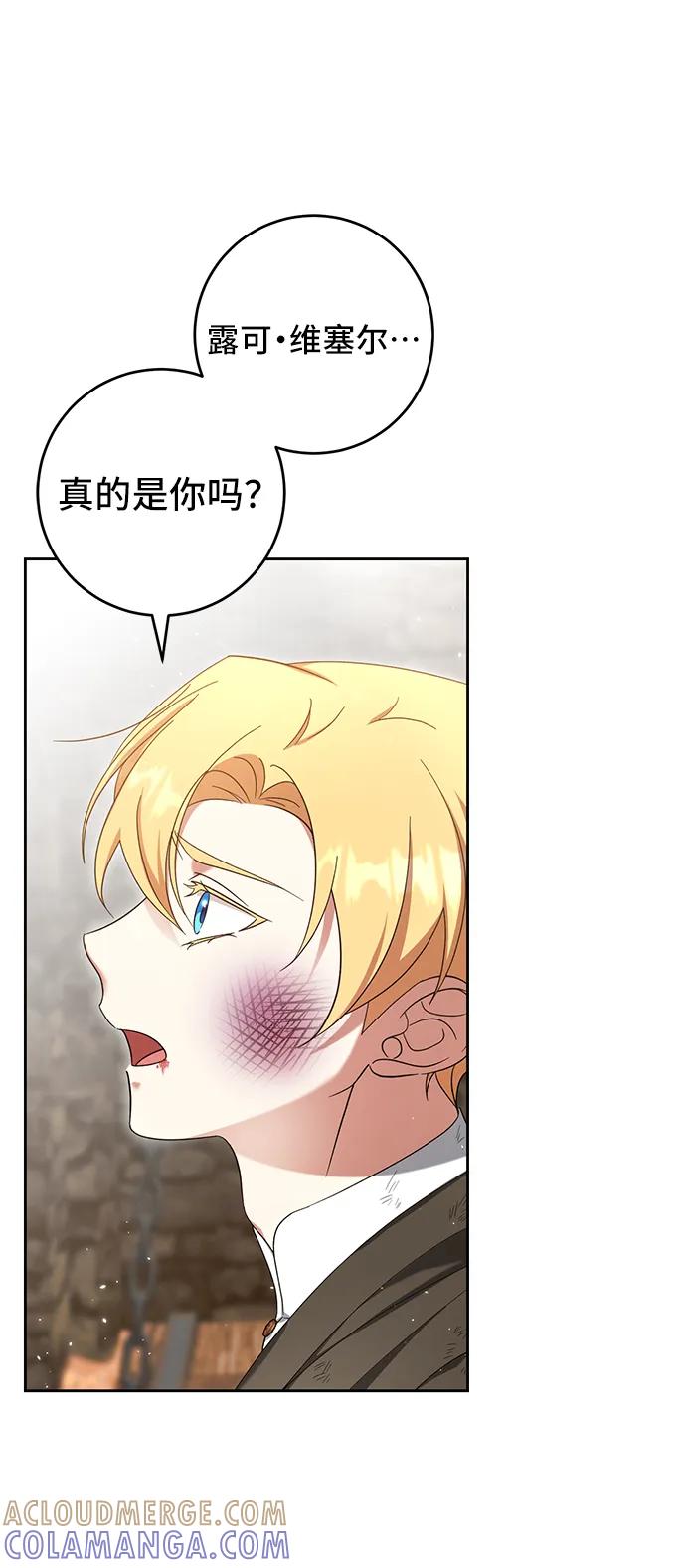 《给予维塞尔的玫瑰》第42话 第16页