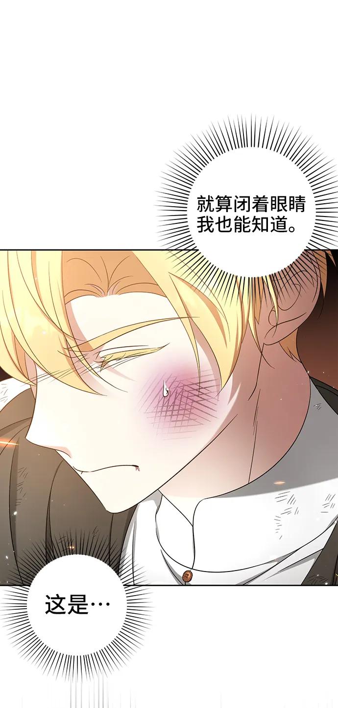 《给予维塞尔的玫瑰》第44话 第51页