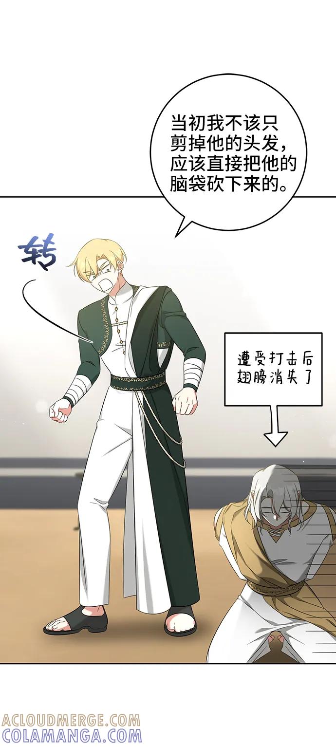 《给予维塞尔的玫瑰》第49话 第16页
