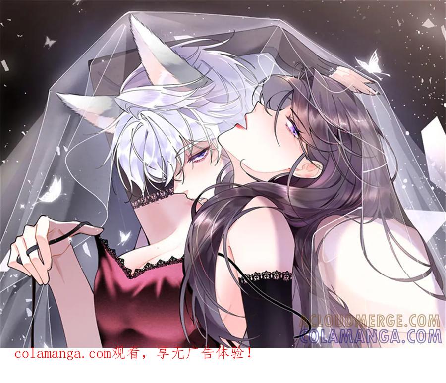 《白天被逃婚晚上被奶凶指挥官求抱抱》114 这谁受得住啊 第1页