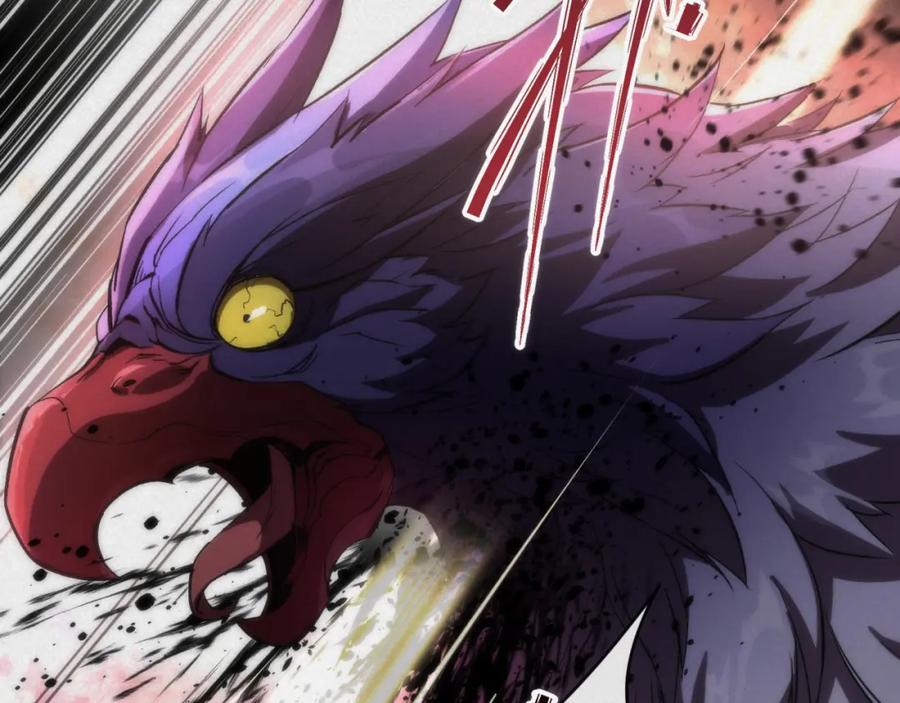 《末世降临：符石王者！》第1话 考核开启 第43页