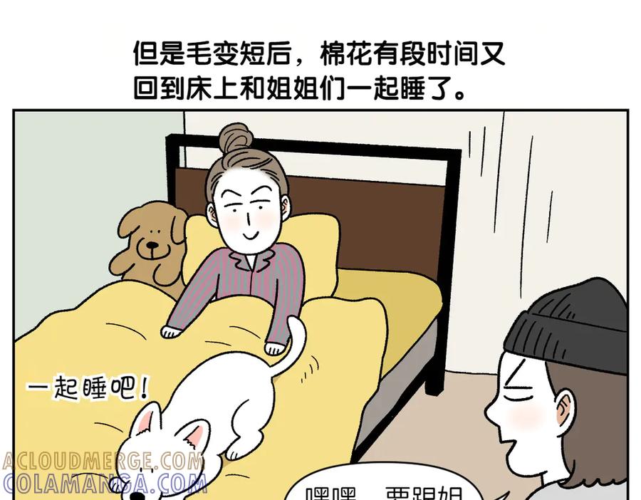 《我的狗子叫棉花》第54话 一起在床上睡吧 第34页