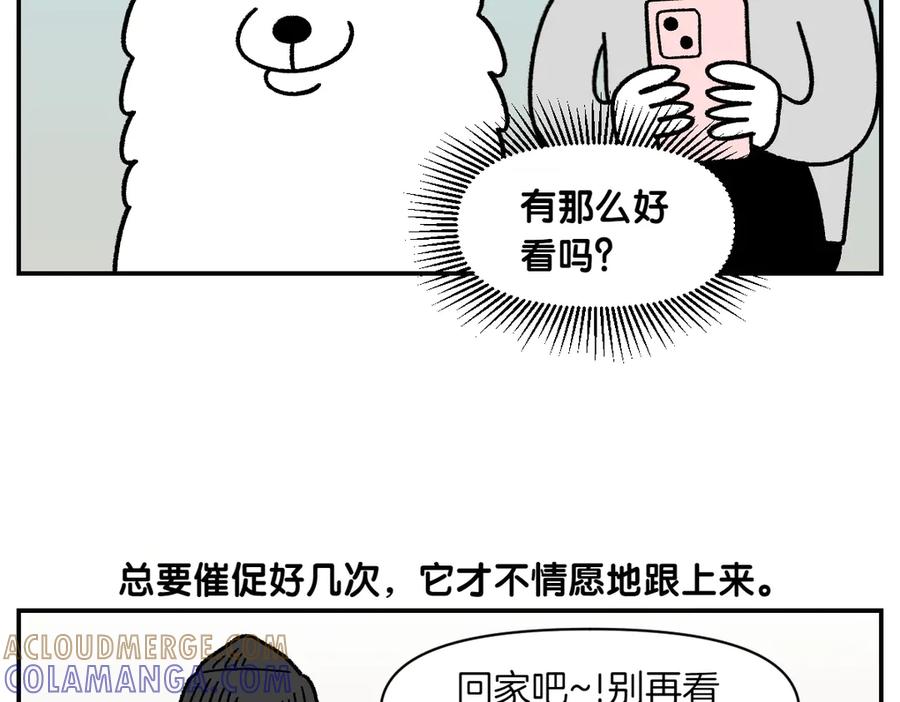 《我的狗子叫棉花》第61话 台阶和狗 第25页