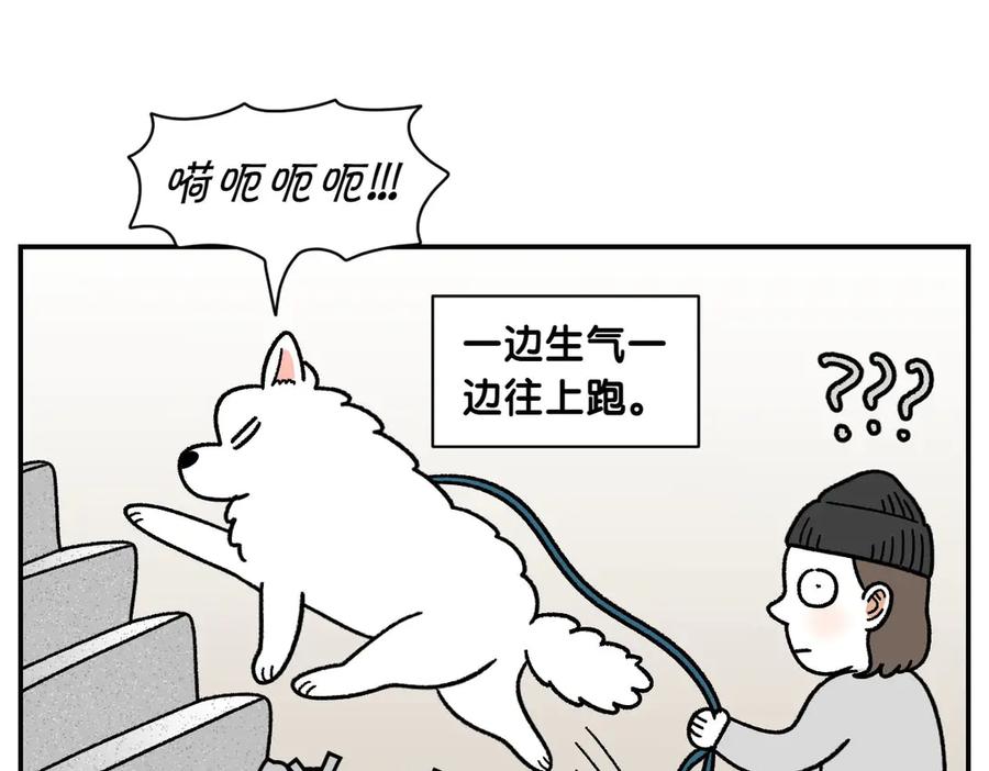 《我的狗子叫棉花》第61话 台阶和狗 第35页