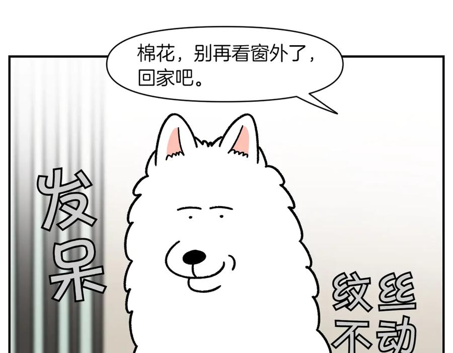《我的狗子叫棉花》第61话 台阶和狗 第20页