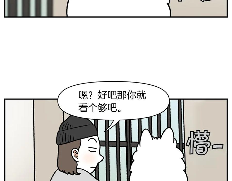 《我的狗子叫棉花》第61话 台阶和狗 第21页