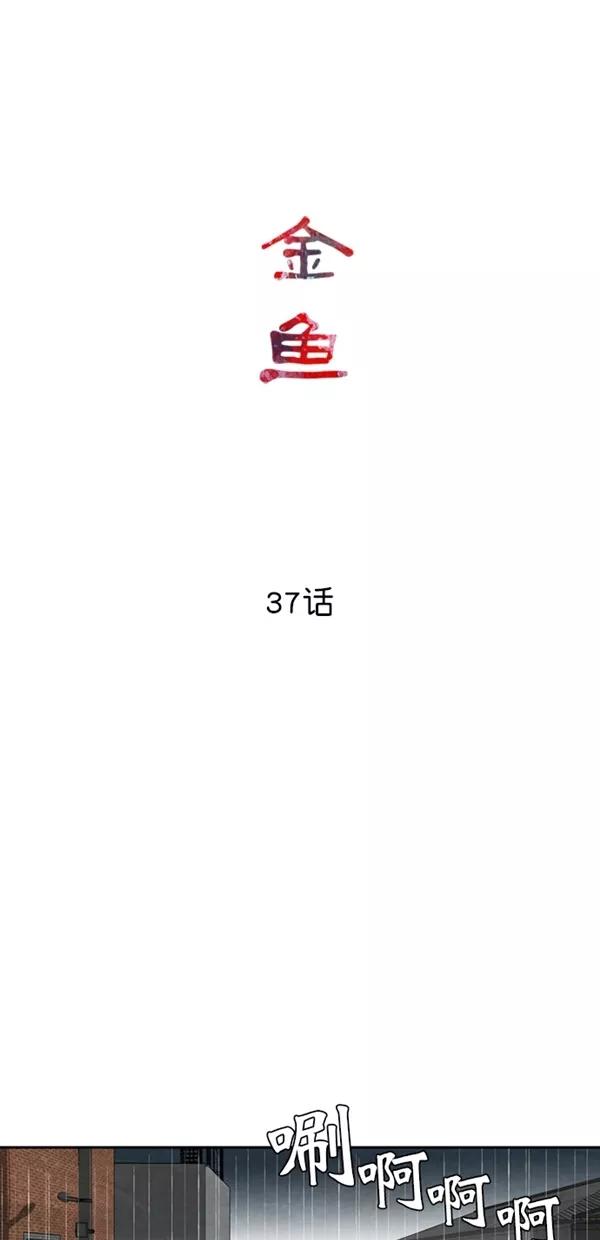 《金鱼》第37话 第14页